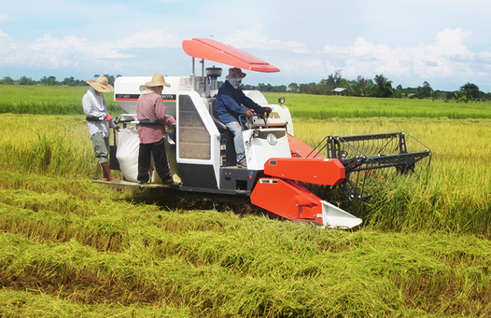 Adopsi Inovasi Teknologi Pertanian: Rahasia Sukses Petani di Era Digital